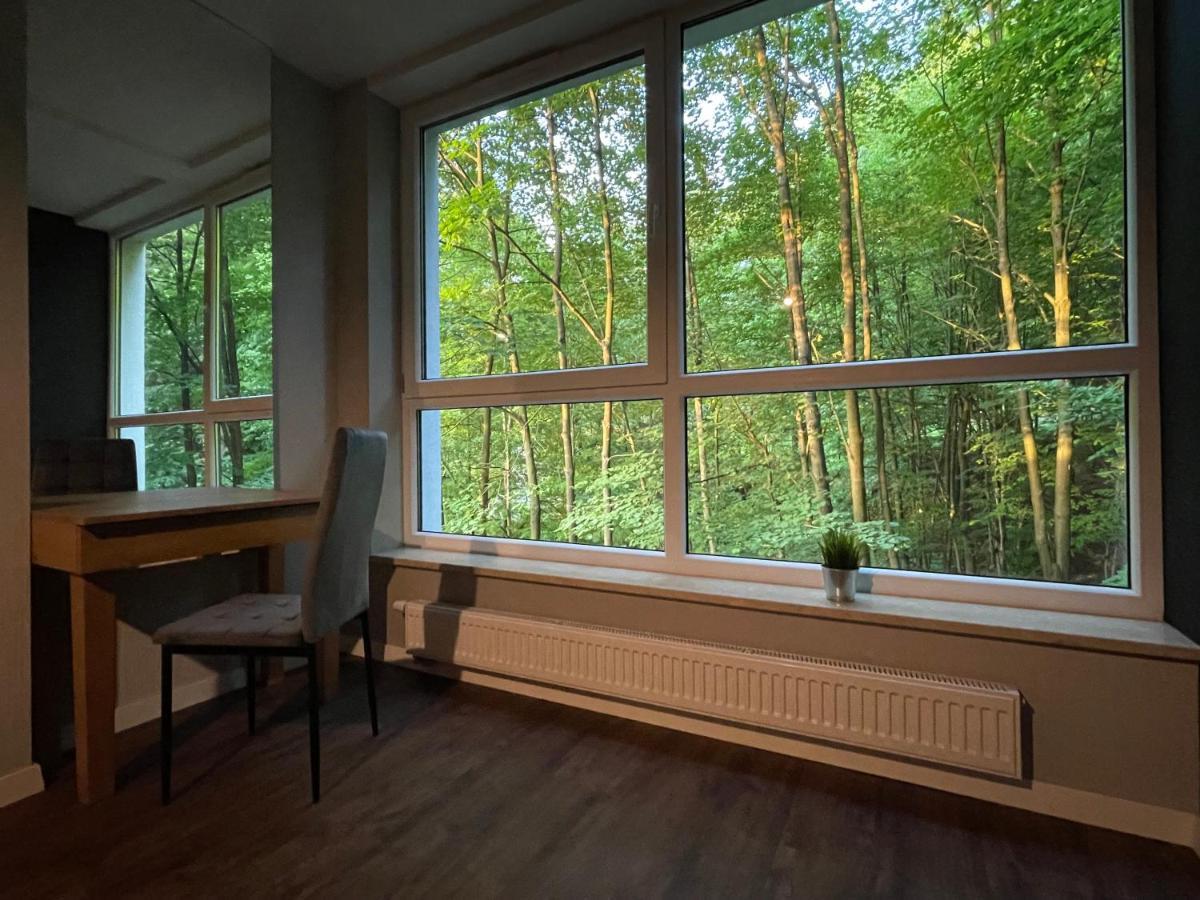 Apartament Kurort Kozubnik - Taras Nad Potokiem Porąbka Exterior foto